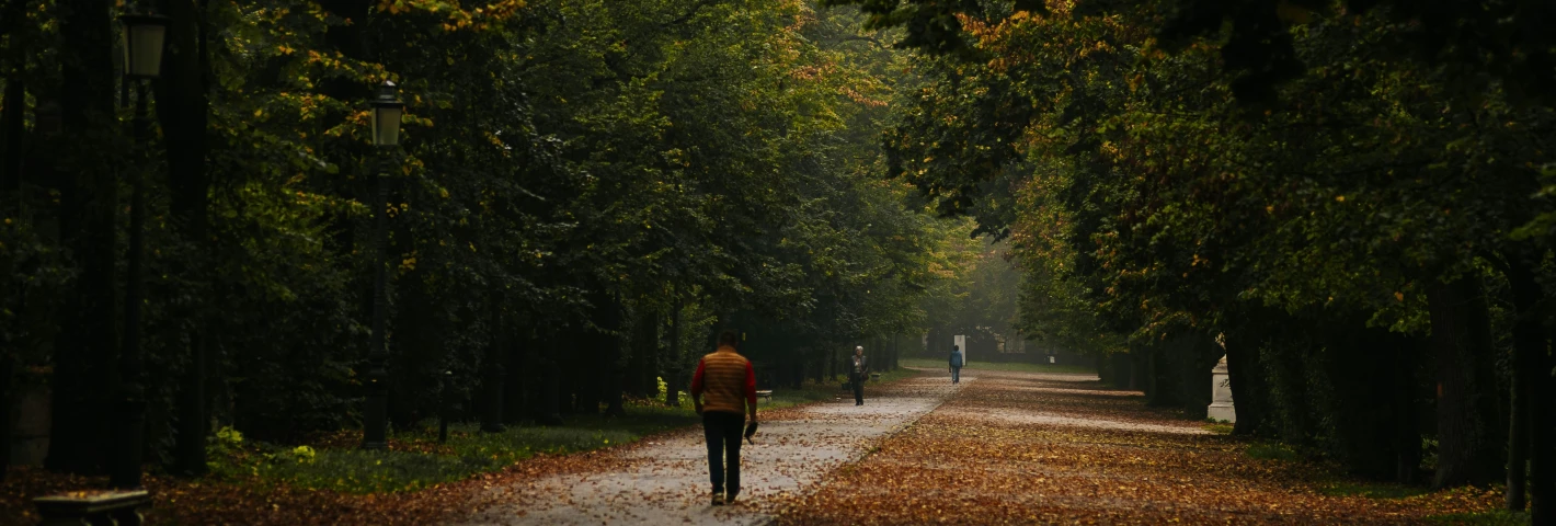 Image for Haunted Memories